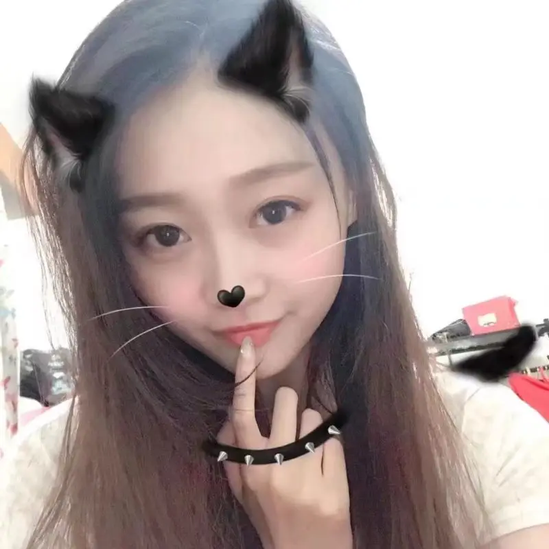 上海椰子