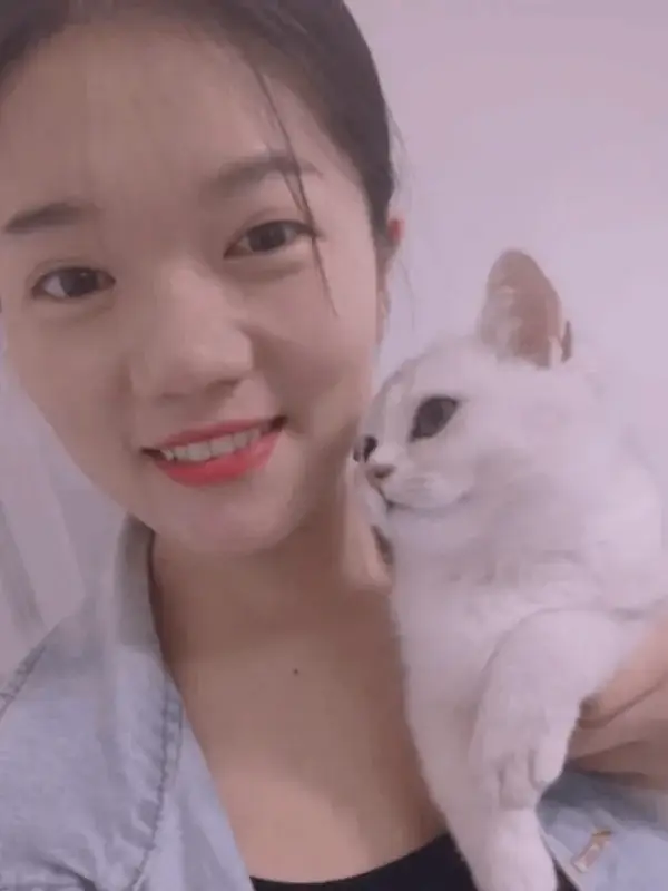 Premium Cupping Shenzhen YaLi