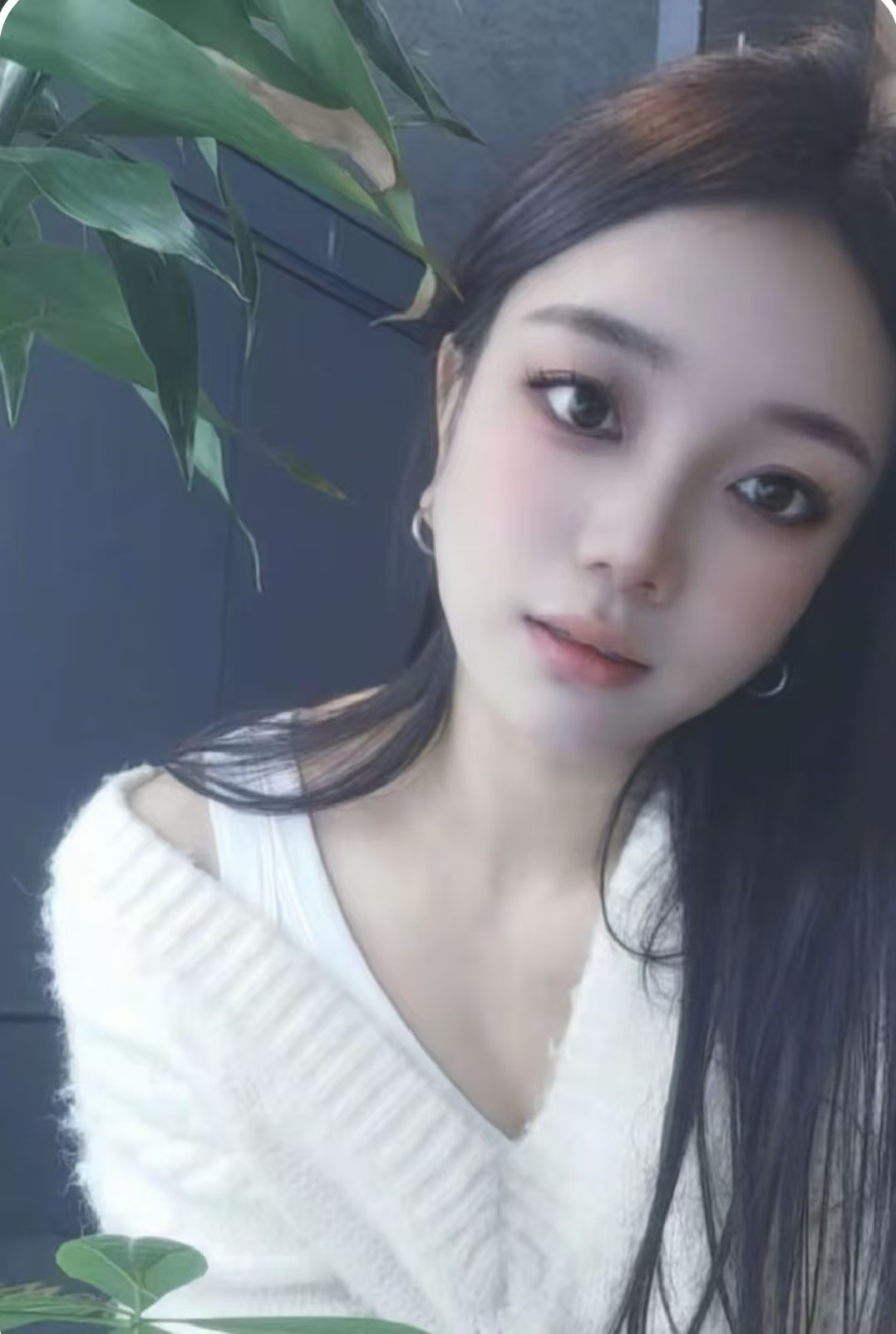 Top Rated Home Massage Service Harbin Tongtong
